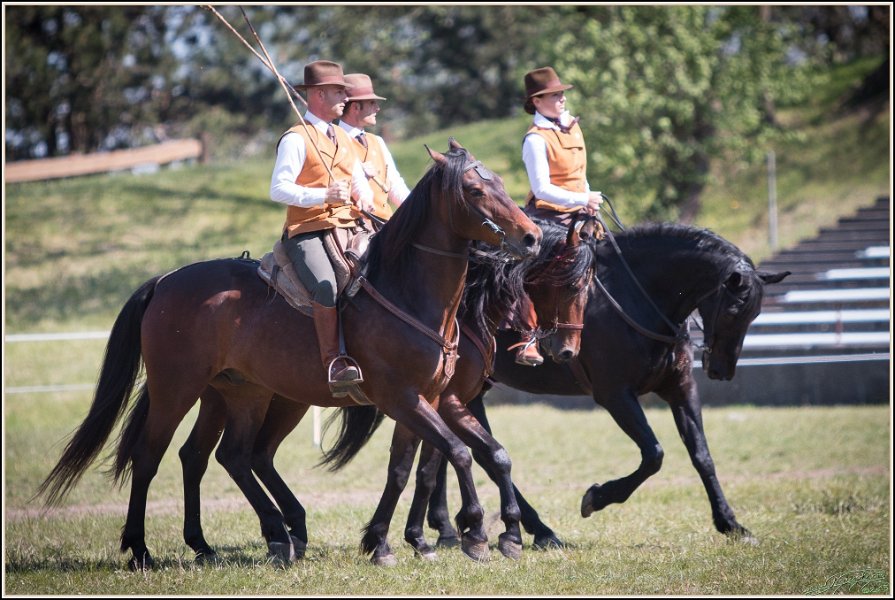 Pferd International 023